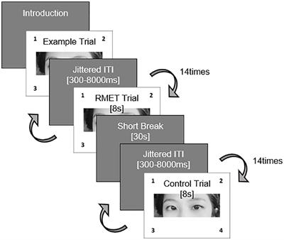 Neural correlates of affective theory of mind in medication-free nonsuicidal self-injury: An fMRI study